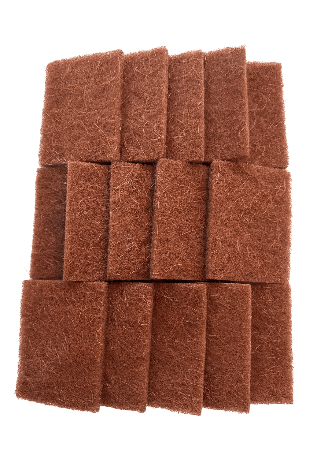 Biodegradable Coconut Kitchen Scourers - Eco Friendly Dish Scrubber Pack of 15 - REGN