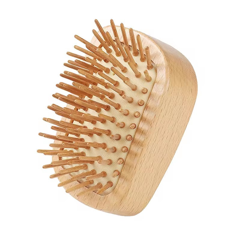 Detangling Hairbrush