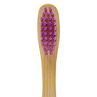 Toothbrush bristles in purple