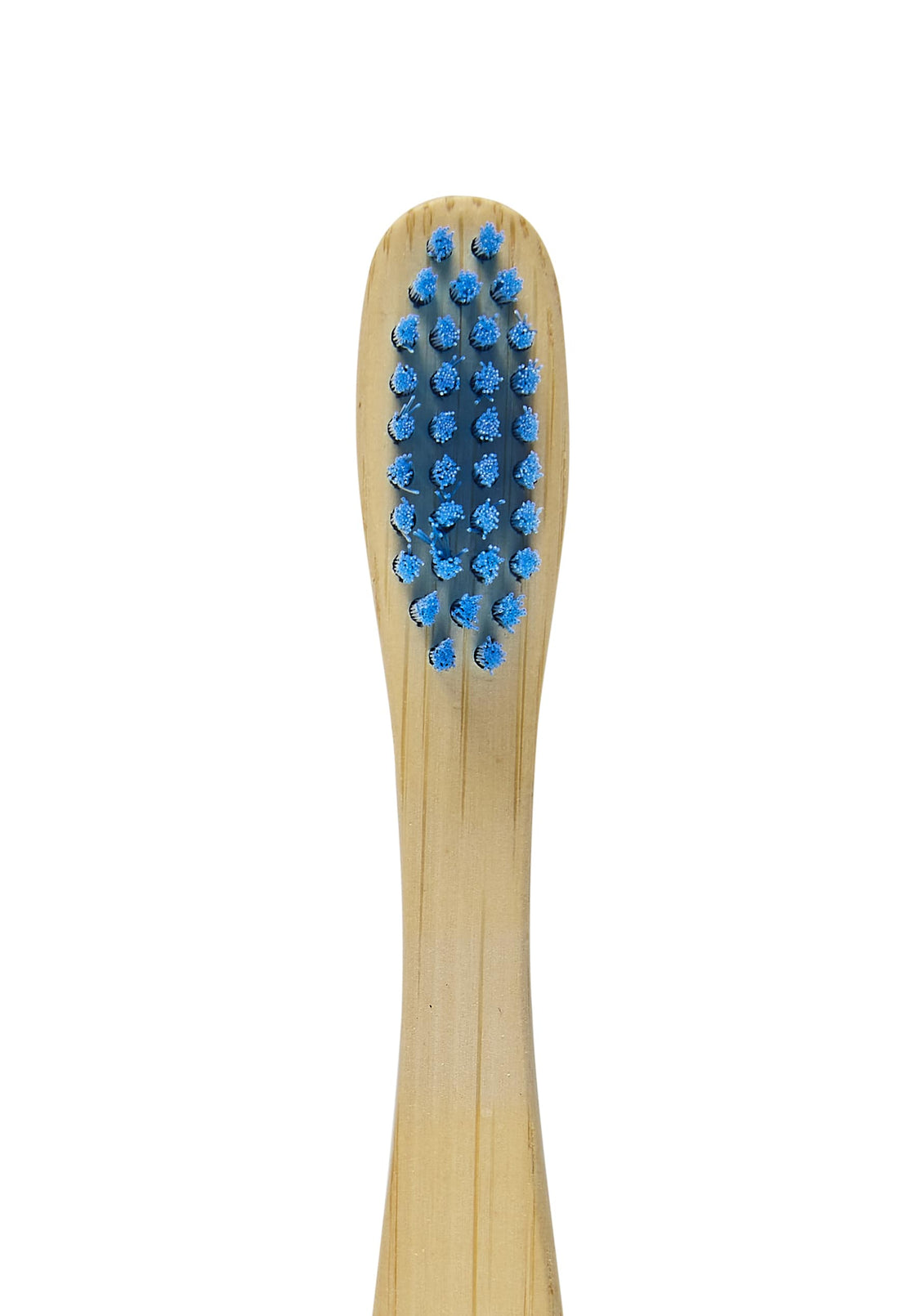 Toothbrush bristles in blue