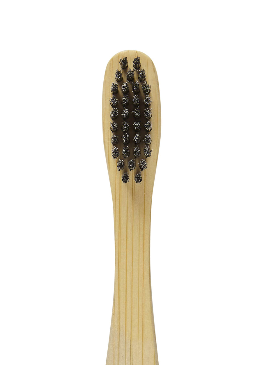 Toothbrush bristles in black